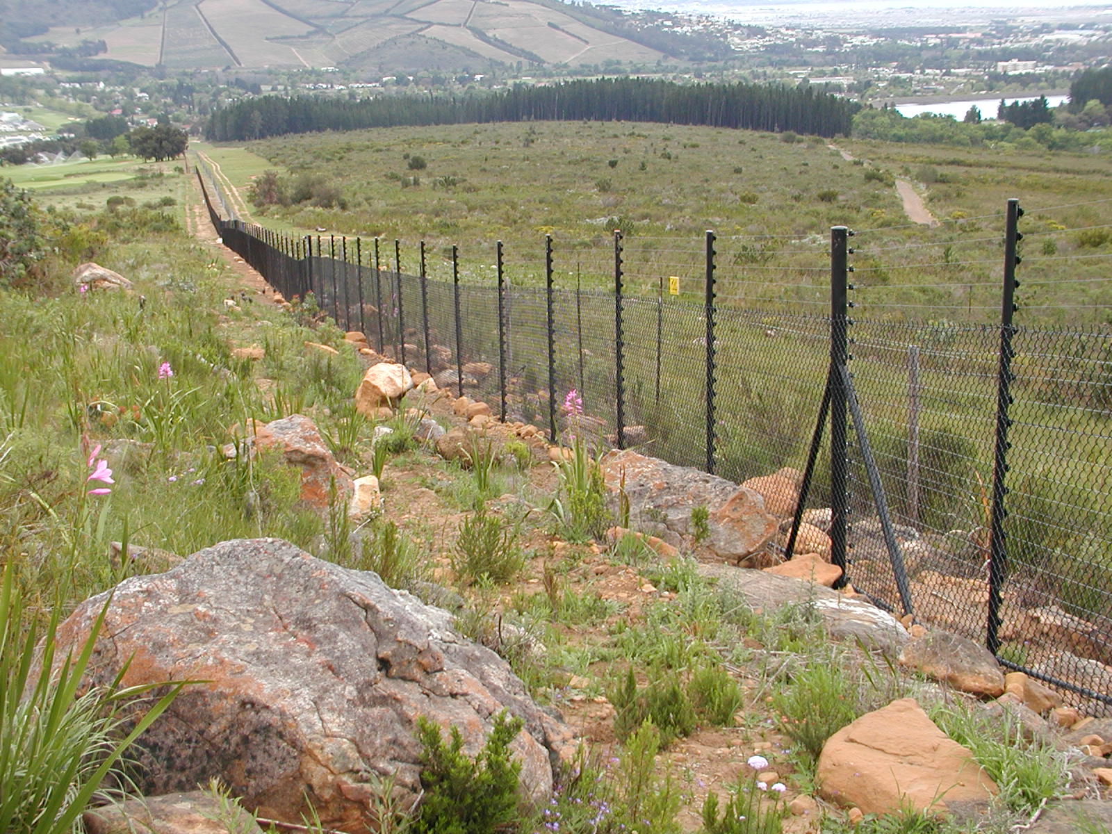 mesh%20fence%20with%20electrics